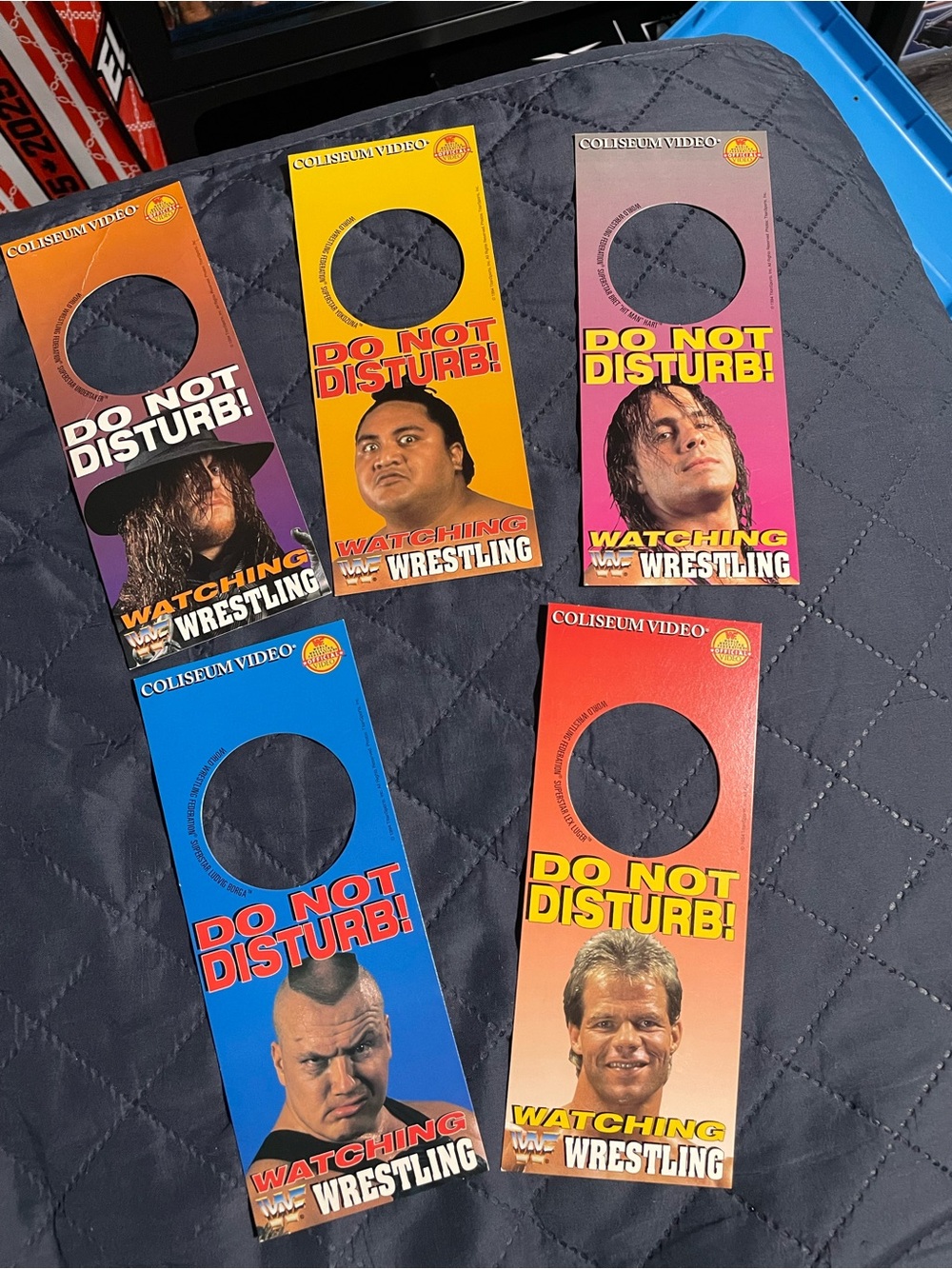 WWF Coliseum Video: 1994 Door Hanger “Do Not Disturb Watching Wrestling”  Lot